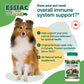 Essiac for Pets