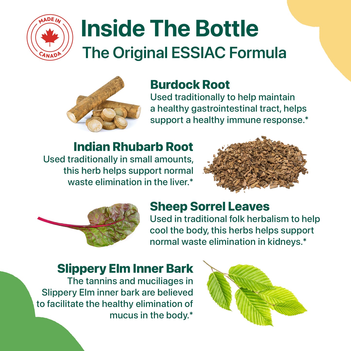 Essiac for Pets