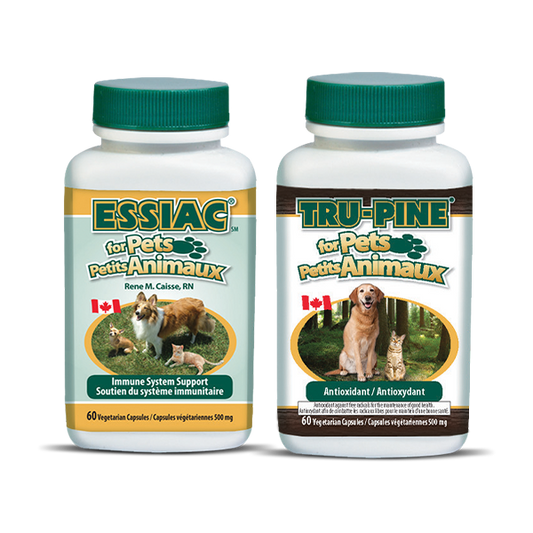 Dog Starter Package (1 Essiac for Pets + 1 Tru-Pine for Pets)