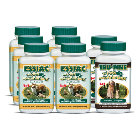 Medium Dog Package (6 Essiac for Pets + 2 Tru-Pine for Pets)